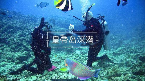星动，只为你